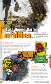 Aktueller Hornbach Prospekt mit Blumenerde, "Garten 2024", Seite 24
