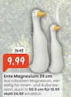 Ente Magnesium Angebote bei Raiffeisen Rhein-Ahr-Eifel Handelsgesellschaft mbH Trier für 9,99 €