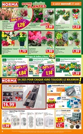 Chrysanthèmes Angebote im Prospekt "Votre Discounter Régional" von Norma auf Seite 4