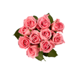 Bouquet de roses en promo à 1,99 € chez Lidl Bouquet de roses dans le catalogue Lidl