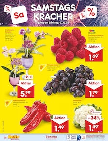 Zimmerpflanzen im aktuellen Netto Marken-Discount Prospekt (Hamburg) Zimmerpflanzen im Netto Marken-Discount Prospekt "Aktuelle Angebote" mit 58 Seiten (Hamburg)