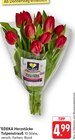 Tulpenstrauß Angebote von EDEKA Herzstücke bei EDEKA Pirmasens für 4,99 €