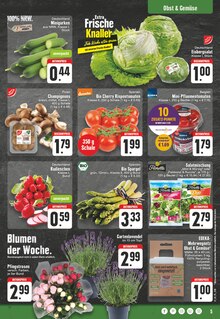 Gemüse im E center Prospekt "Aktuelle Angebote" mit 28 Seiten (Wuppertal)