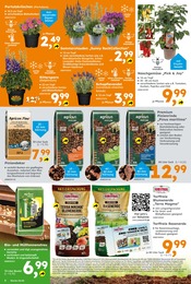 Gartenerde im Globus-Baumarkt Prospekt in Goslar Aktueller Globus-Baumarkt Prospekt mit Gartenerde, "Immer eine Idee besser", Seite 6