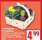 Frühlingsmix im Spankorb für 4,99 € bei EDEKA im Angebot Frühlingsmix im Spankorb im aktuellen EDEKA Prospekt