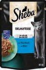 Katzen Nassnahrung Classics Angebote von Sheba bei EDEKA Stade für 0,49 €