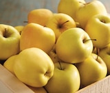 Promo Pomme jaune et/ou bicolore à 1,59 € dans le catalogue Intermarché Super à Henrichemont