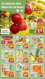 Tierbedarf Angebot im aktuellen REWE Prospekt auf Seite 8