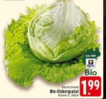 Bio-Eisbergsalat Angebote bei EDEKA Herten für 1,99 €