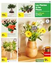 Promos Ficus dans le catalogue "LE COIN DES ENFANTS" de Carrefour à la page 59