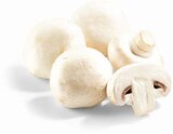 Champignons weiß im Netto Marken-Discount Prospekt Champignons weiß von im aktuellen Netto Marken-Discount Prospekt für 1,50 €