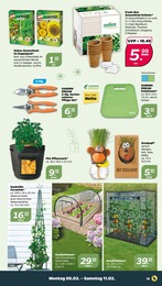 Gartenhaus Angebot & Preis im aktuellen NETTO mit dem Scottie Prospekt Gartenhaus Angebot im aktuellen NETTO mit dem Scottie Prospekt auf Seite 15