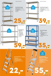 Aktueller Globus-Baumarkt Prospekt mit Leiter, "Immer eine Idee besser", Seite 13