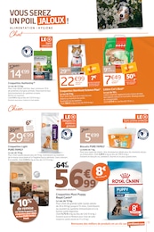 Prix et réduction Croquettes Chat dans le prospectus Jardiland en cours Offre Croquettes Chat dans le catalogue Jardiland du moment à la page 11