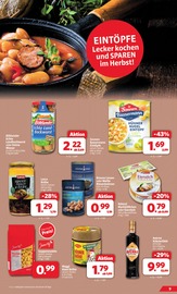 Aktueller Markant Nordwest Prospekt mit Maggi, "DER MARKT FÜR GUTES ESSEN UND TRINKEN", Seite 9