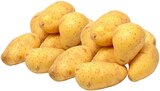 Speisekartoffeln Cilena im Angebot bei REWE in Gladbeck Speisekartoffeln Cilena Angebote von REWE bei REWE Gladbeck für 1,99 €