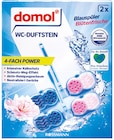 WC-Duftstein 4-fach-Power von Domol im aktuellen Rossmann Prospekt für 0,99 €