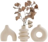 Dekovase "Carola" im Angebot bei mömax in Hannover Dekovase "Carola" Angebote bei mömax Hannover für 6,99 €