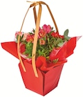 Bouquet bulle de fête en promo chez Colruyt Bouquet bulle de fête dans le catalogue Colruyt