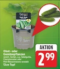 Snack-Gurke im aktuellen E center Prospekt