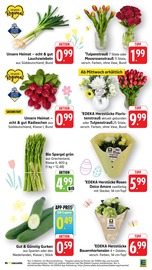 Ähnliche Stiefmütterchen Angebote im Prospekt "Aktuelle Angebote" von EDEKA in Freiburg Ähnliche Angebote wie Stiefmütterchen im Prospekt "Aktuelle Angebote" auf Seite 6 von EDEKA in Freiburg