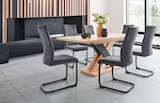 Esstisch oder Schwingstuhl von CARRYHOME im aktuellen XXXLutz Möbelhäuser Prospekt für 199,00 €