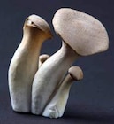 Angebot im EDEKA Bad Iburg Prospekt EDEKA Bad Iburg Prospekt mit im Angebot für 2,49 €