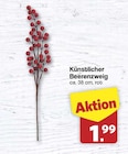 famila Nordwest Varel - Künstlicher Beerenzweig Angebot im Prospekt Künstlicher Beerenzweig bei famila Nordwest im Varel Prospekt für 1,99 €
