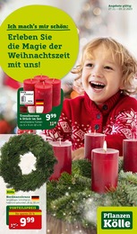 Pflanzen Angebot & Preis im aktuellen Pflanzen Kölle Prospekt Pflanzen Angebot im aktuellen Pflanzen Kölle Prospekt auf Seite 1