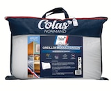 Oreiller modulo saisons 45x70cm - COLAS NORMAND - Super U à Calais Oreiller modulo saisons 45x70cm - COLAS NORMAND en promo chez Super U Calais à 17,43 €
