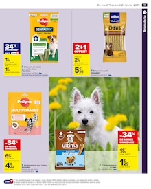 Promo Dentastix dans le catalogue Carrefour du moment à la page 13