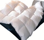 Aktuelles Luxus-Daunenbettdecke SIBIRIAN QUEEN Angebot bei Wreesmann in Cottbus ab 39,99 €