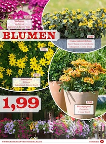 Balkonpflanzen im Garten-Center Nordharz GmbH & Co. KG Prospekt "NOCH BLUMIGER GEHT NICHT!" mit 12 Seiten (Salzgitter)