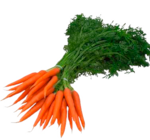 Bundmöhren im aktuellen EDEKA Prospekt