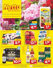 Ähnliche Angebote wie Weihnachtsstern im Prospekt "Aktuelle Angebote" auf Seite 1 von Netto Marken-Discount in Eisenach