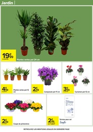 Prix et réduction Plante Verte dans le prospectus Carrefour en cours Offre Plante Verte dans le catalogue Carrefour du moment à la page 77