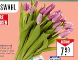 Aktuelles Tulpenstrauß Angebot bei Marktkauf in Stuttgart ab 7,99 €