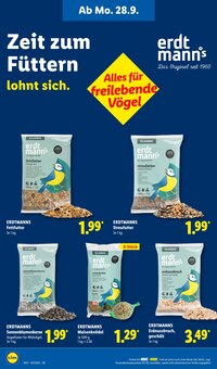 Energydrink im Lidl Prospekt "LIDL LOHNT SICH" mit 73 Seiten (Jena)