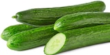 Aktuelles Gurke Angebot bei Penny in Oldenburg ab 1,11 €