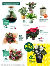 Catalogue Truffaut en cours à Paris, "Fêtes sensations !", Page 9