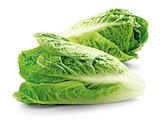 REWE Lüdenscheid - Bio Romana Salatherzen Angebot im Prospekt Bio Romana Salatherzen bei REWE im Lüdenscheid Prospekt für 1,79 €