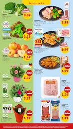 Schweinefilet Angebot im aktuellen Penny Prospekt auf Seite 34