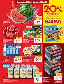 Katzenfutter im aktuellen Netto Marken-Discount Prospekt (Dresden) Katzenfutter im Netto Marken-Discount Prospekt "Aktuelle Angebote" mit 72 Seiten (Dresden)