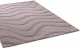 Teppichboden im Segmüller Prospekt Design-Teppich Urbino im aktuellen Segmüller Prospekt für 59,99 €