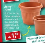 Terra rund im Angebot bei Sonderpreis Baumarkt in Lingen Terra rund Angebote bei Sonderpreis Baumarkt Lingen für 1,59 €