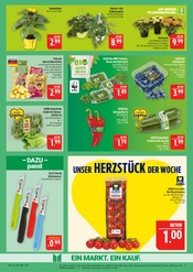 Besteck im Marktkauf Prospekt in Görlitz Aktueller Marktkauf Prospekt mit Besteck, "AUSWAHL RIESIG, PREISE NIEDRIG", Seite 9