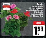 Geranie im E center Prospekt Geranie von Fränkische im aktuellen E center Prospekt für 1,99 €