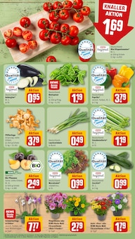 Pflanzen im REWE Prospekt "Dein Markt" mit 16 Seiten (München)