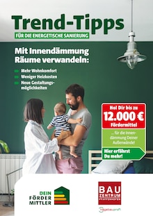 Aktueller Bauzentrum Pfaffenhofen Prospekt für Freising und Ungebung, Seiten zum blättern Bauzentrum Pfaffenhofen Prospekt Trend-Tipps für die energetische Sanierung mit Seiten in Freising und Umgebung