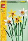 Botanicals Blume Narzissen Angebote von LEGO bei Lidl Bremerhaven für 9,99 €